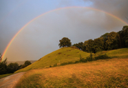 REGENBOGEN_6-20