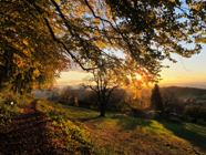 Kappiser Herbst_6-11-2012